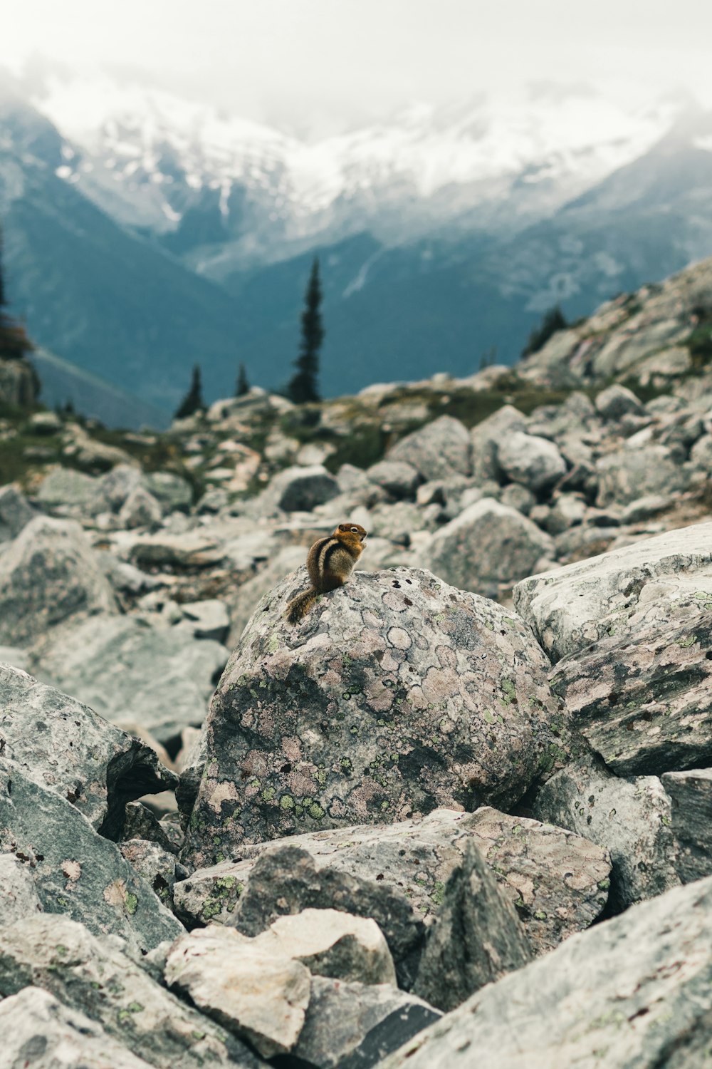 a close up of a rocky mountain