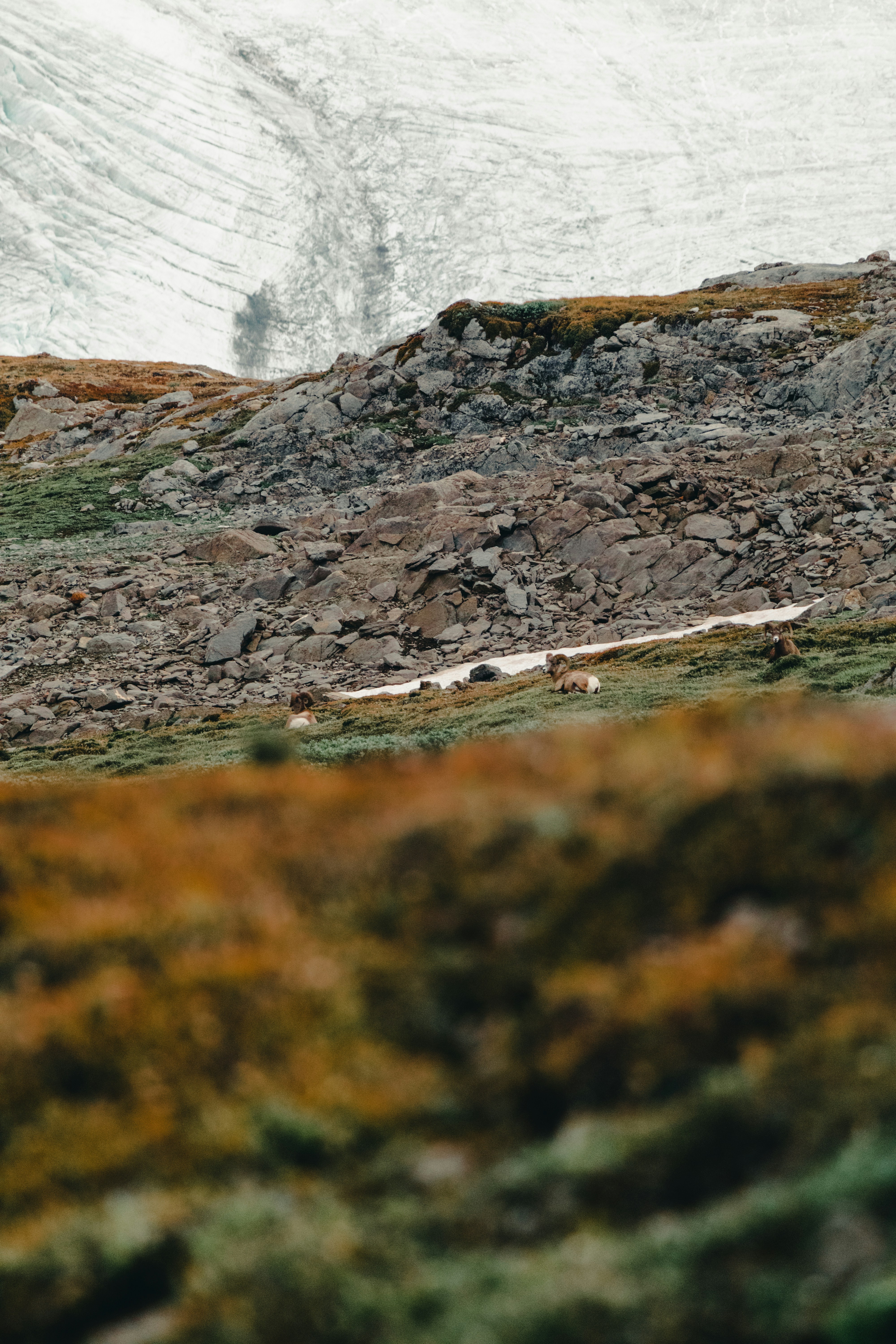 Photo by lureofadventure