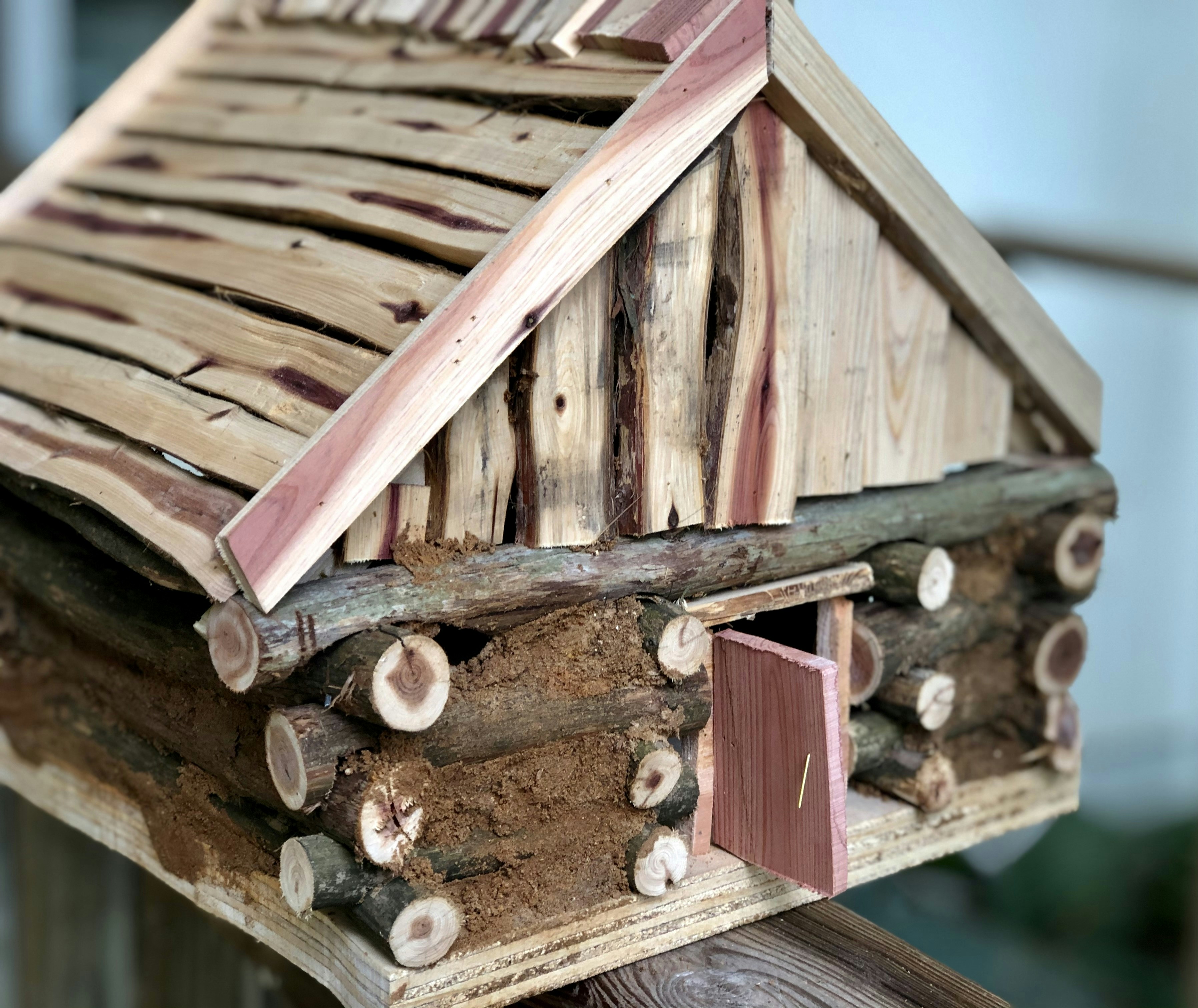 AFC and NFC West Division Champions: A Look Back at the Winners Over the Years