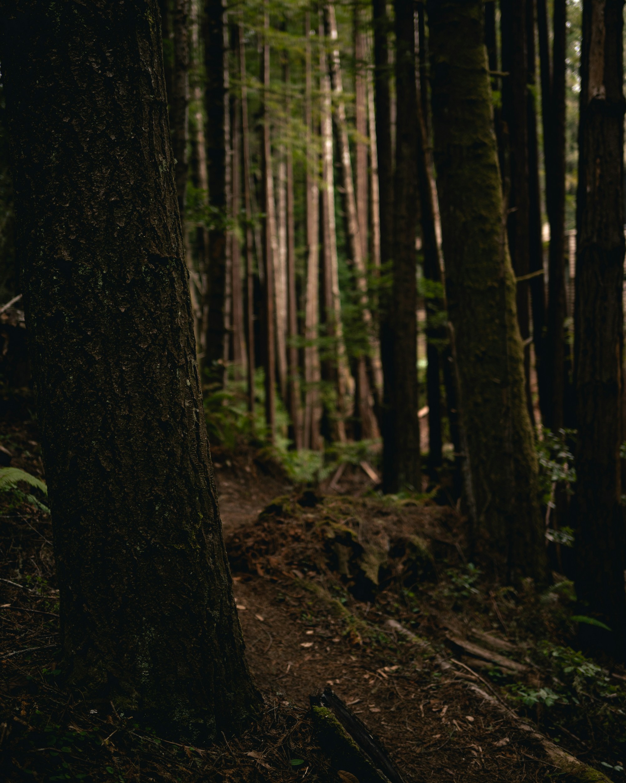 Photo by patrickperkins