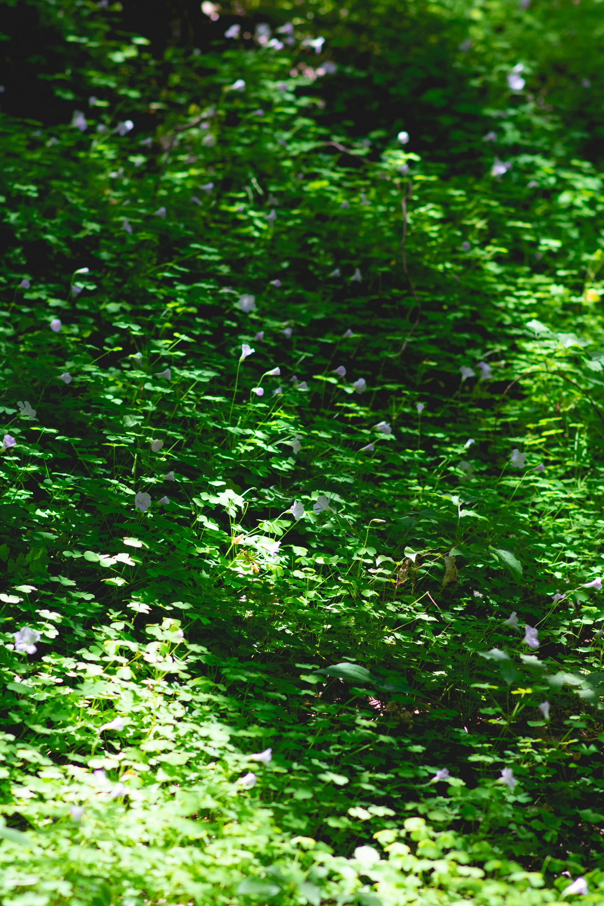 Photo by patrickperkins