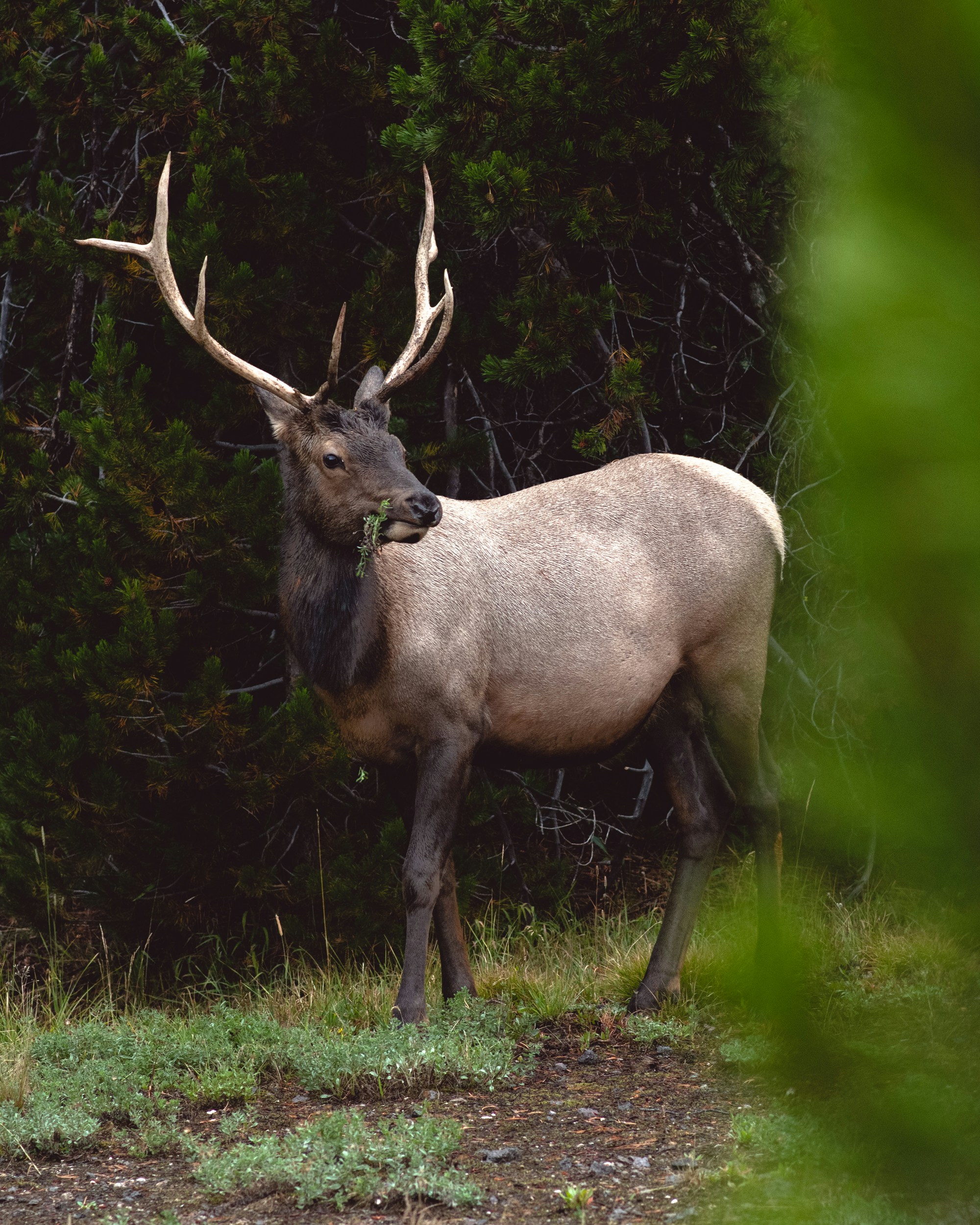 Photo by patrickperkins