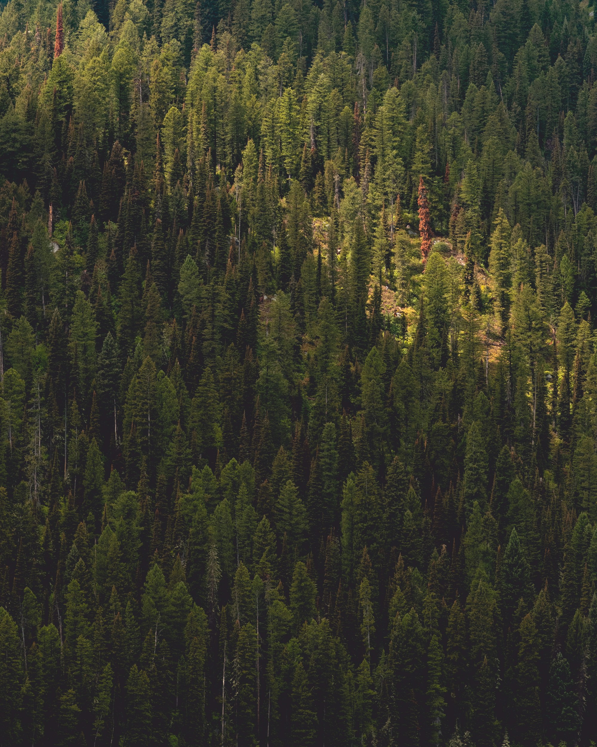 Photo by patrickperkins