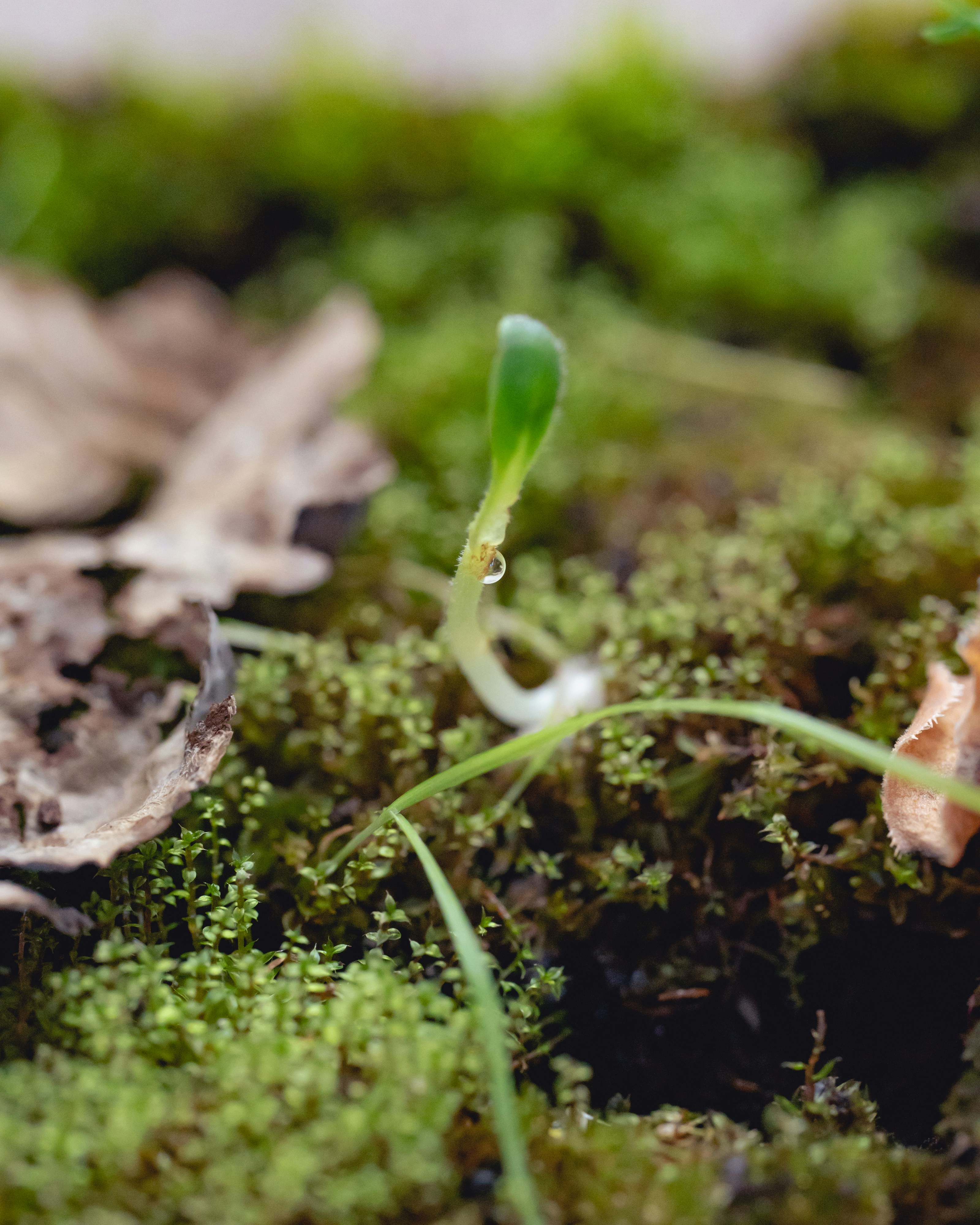 Photo by patrickperkins