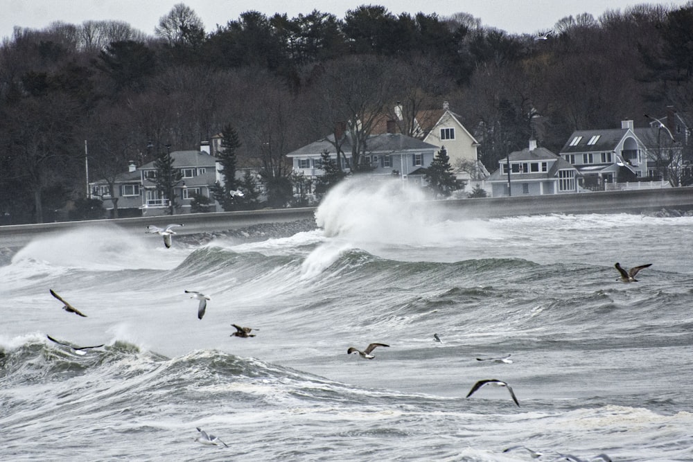 a flock of birds flying over a wave in the ocean