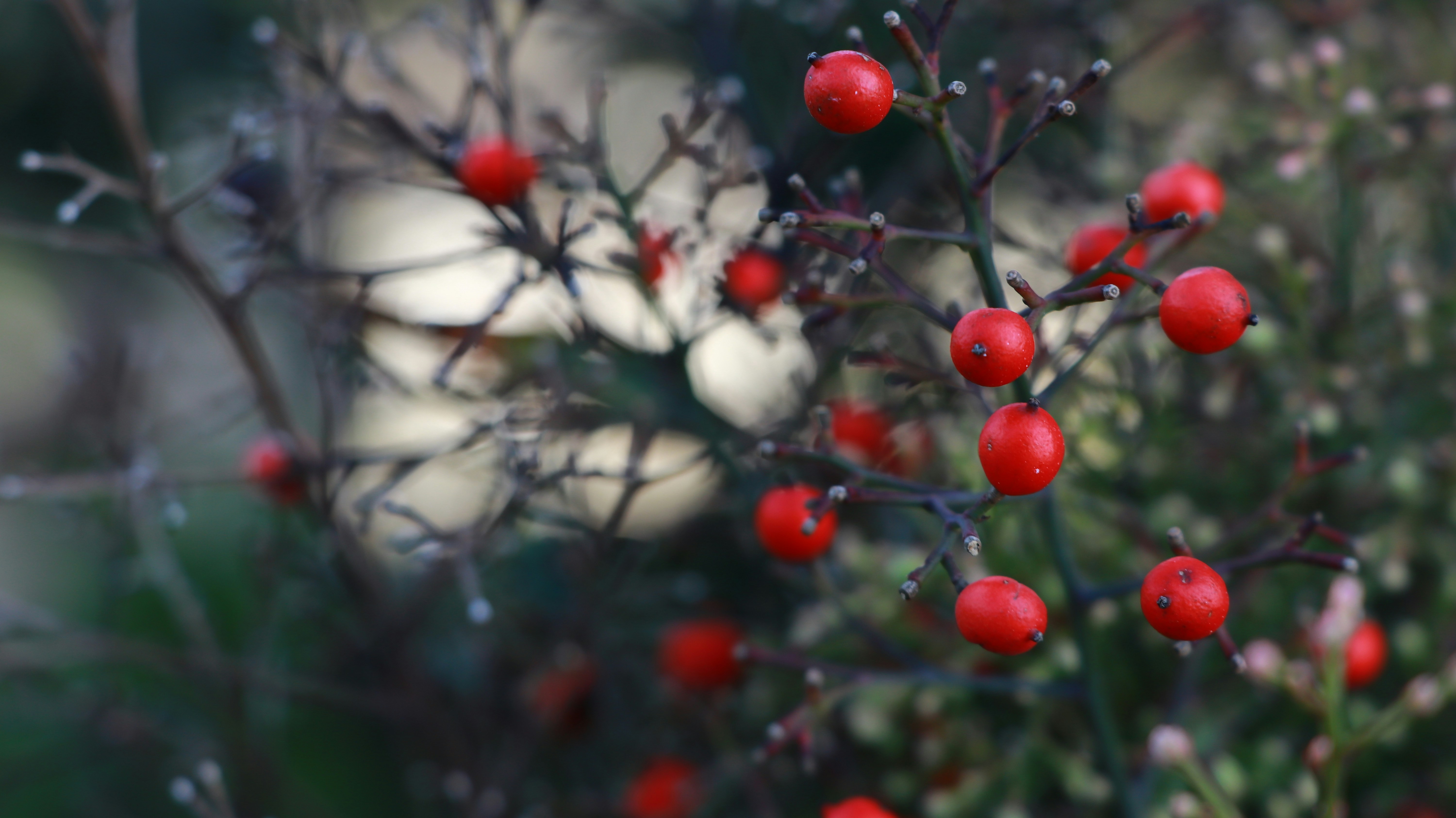 Photo by jack_harbieh