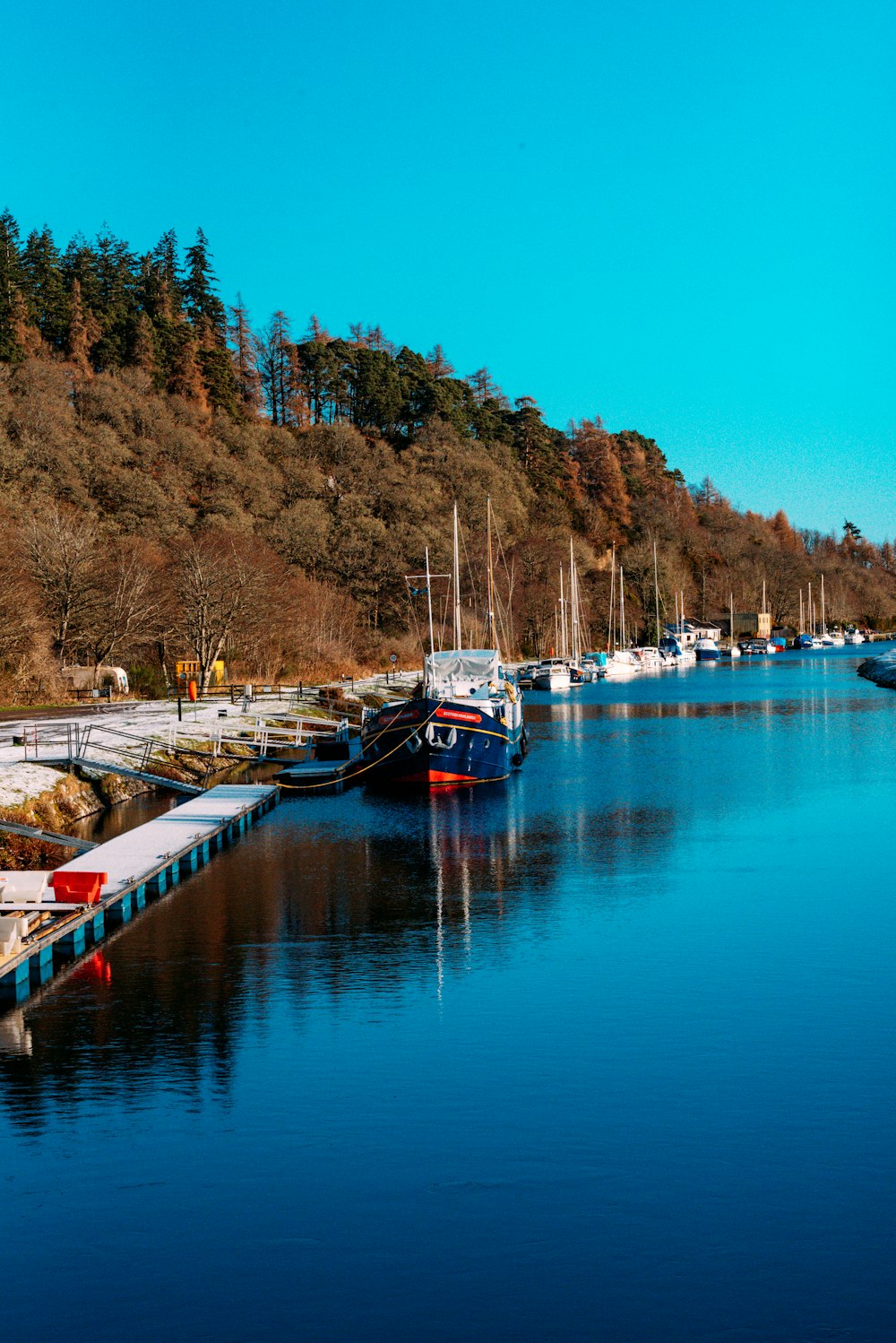 a body of water filled with lots of boats