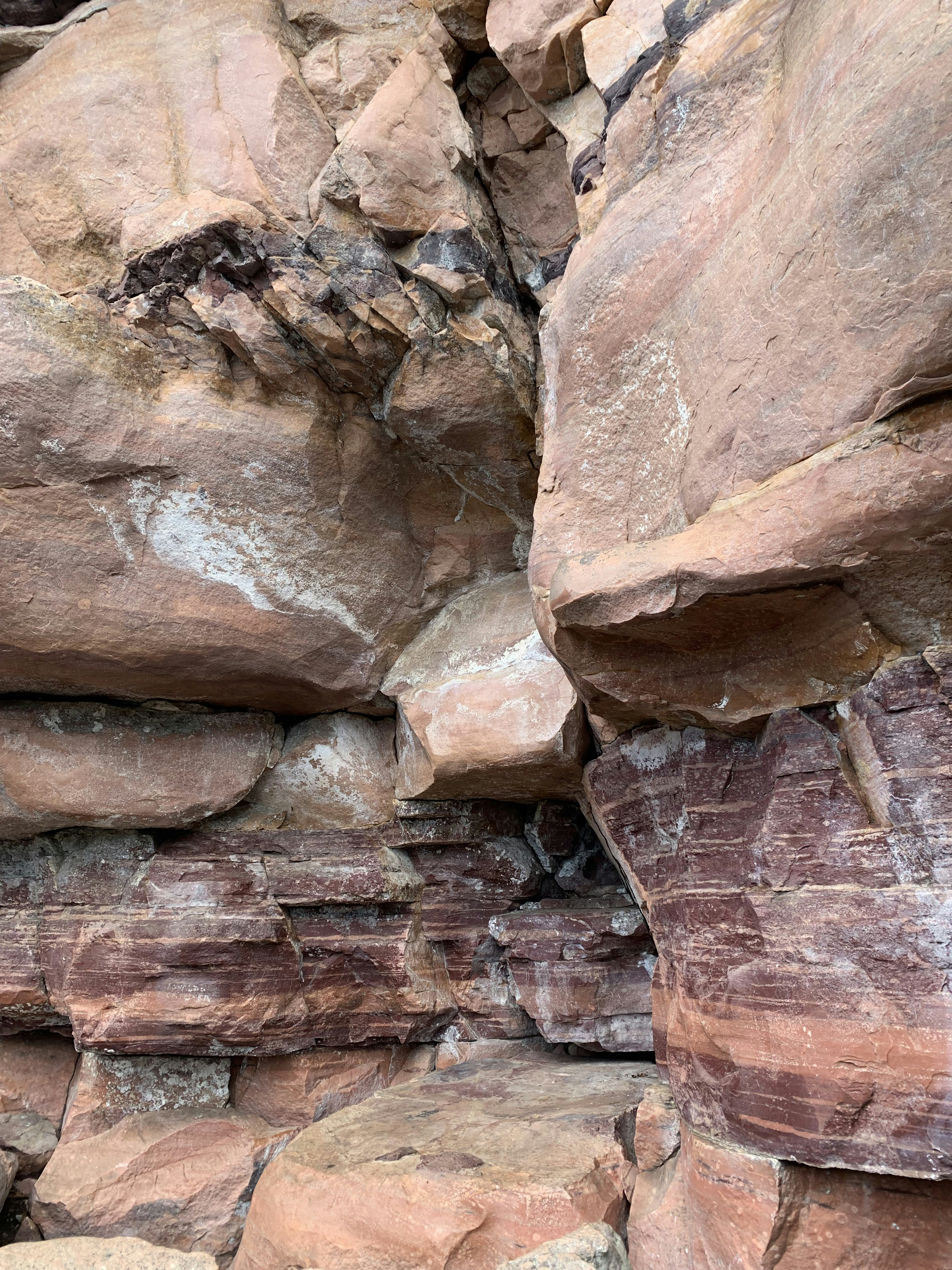 a black and white cat sitting on top of a pile of rocks