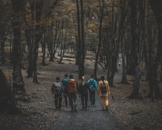 a group of people walking through a forest