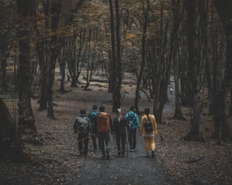 a group of people walking through a forest