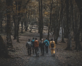 a group of people walking through a forest