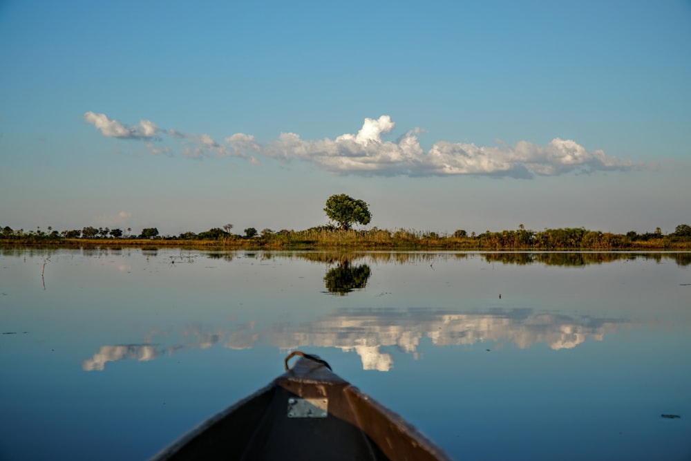 a boat on a lake with a tree in the distance