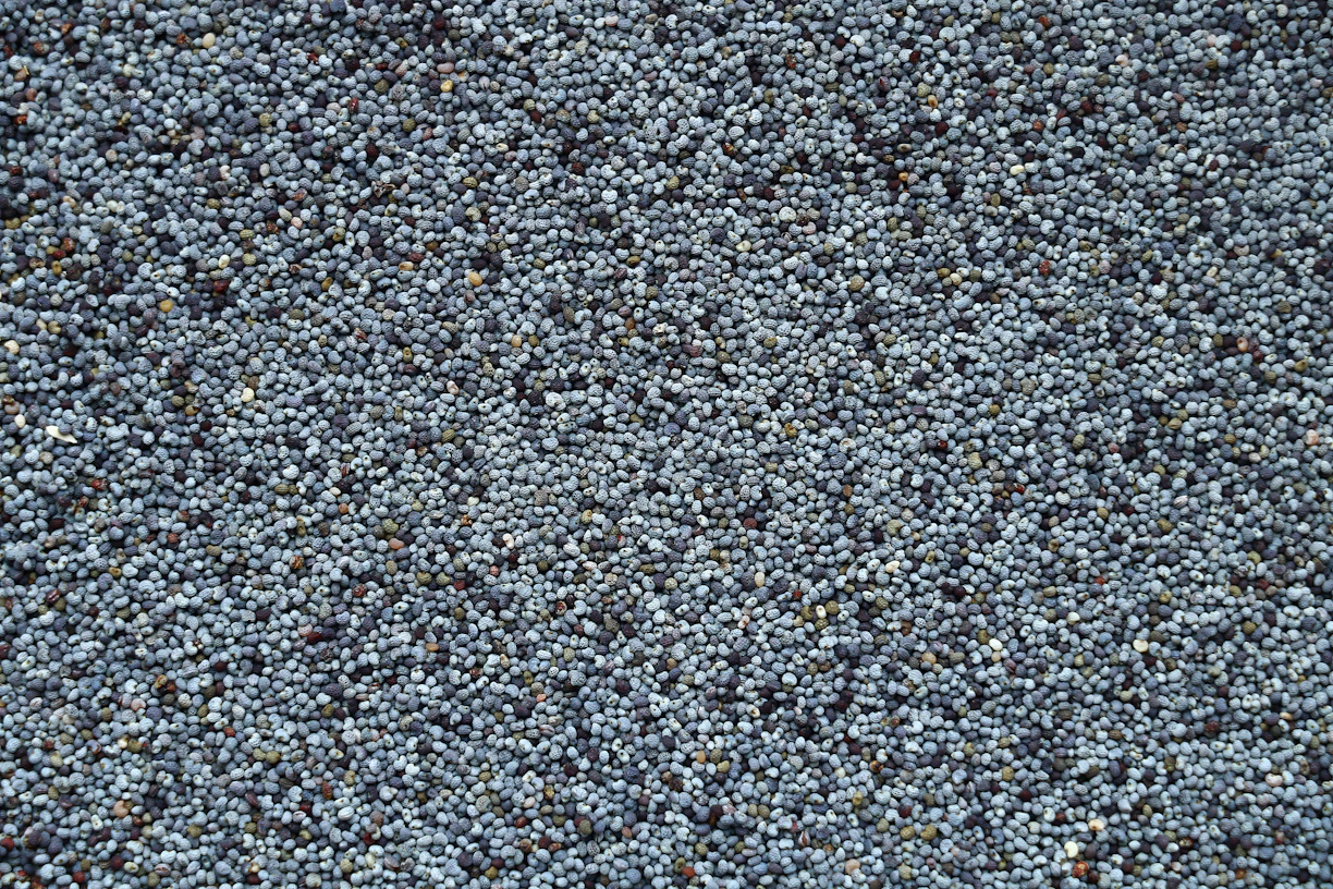 a close up view of a blue carpet