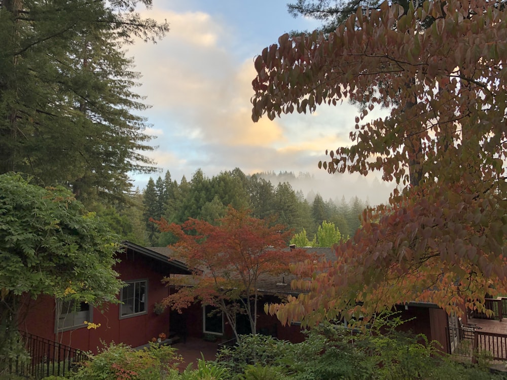 a red house surrounded by trees and bushes