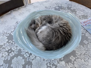 Stainless Bowl