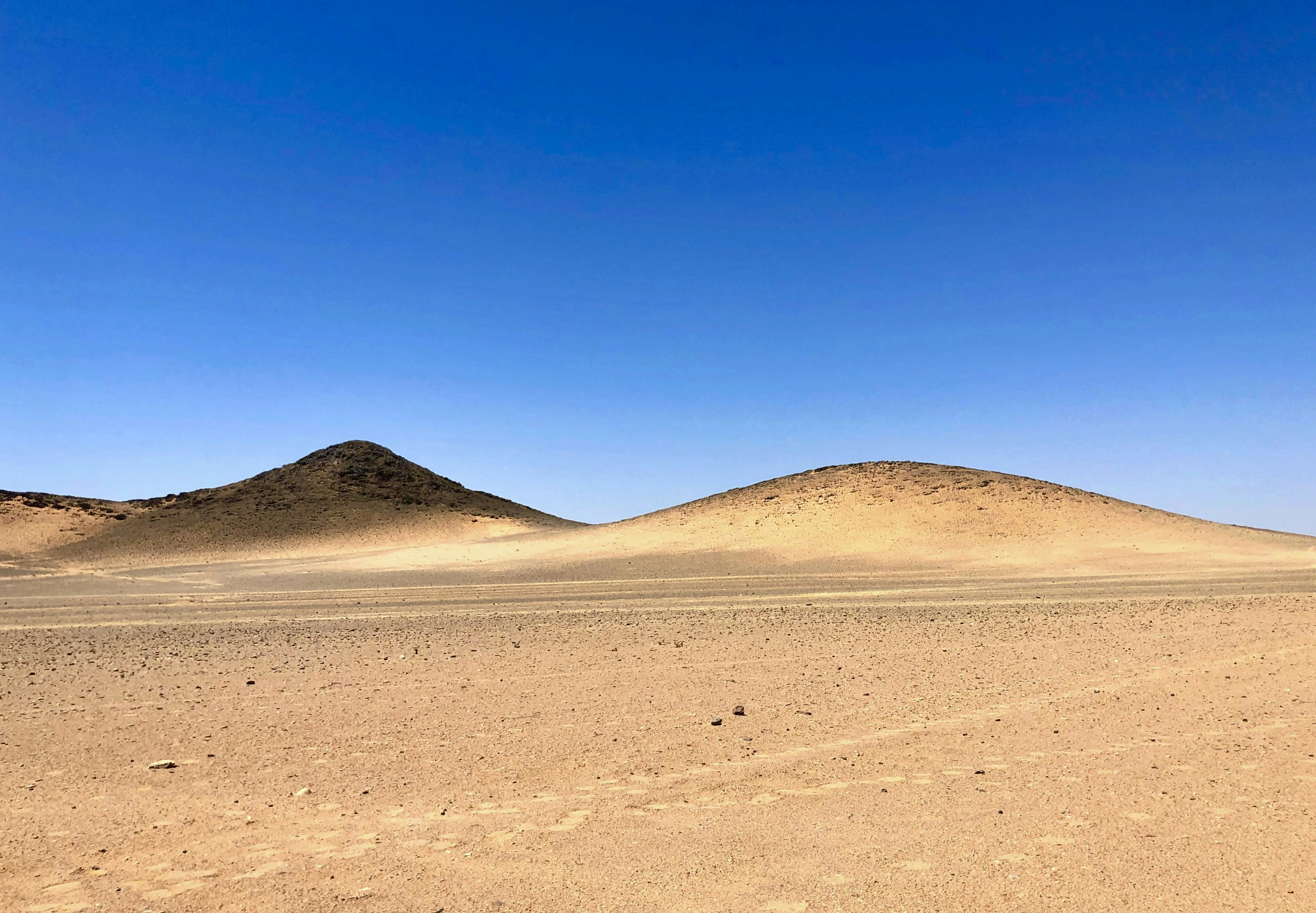 Photo by rabah_shammary