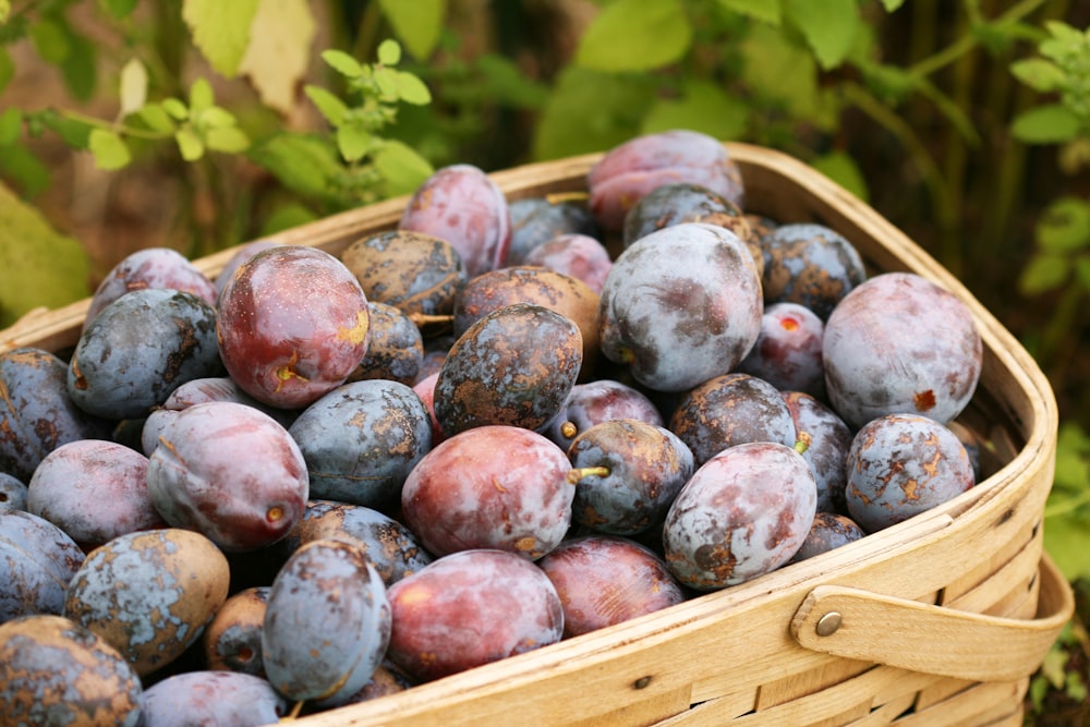 a basket full of plums sitting on the ground