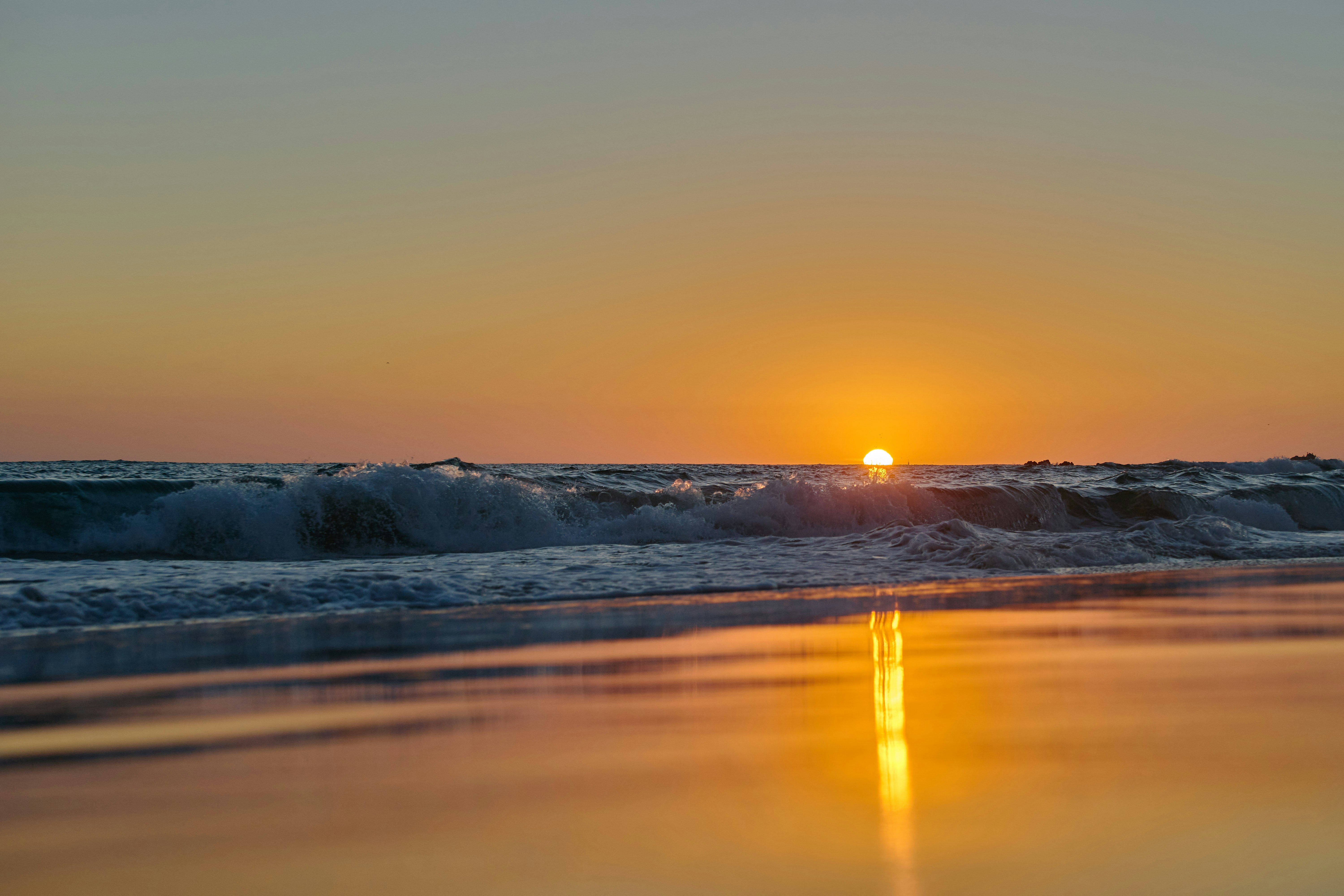 Photo by wolfgang_hasselmann