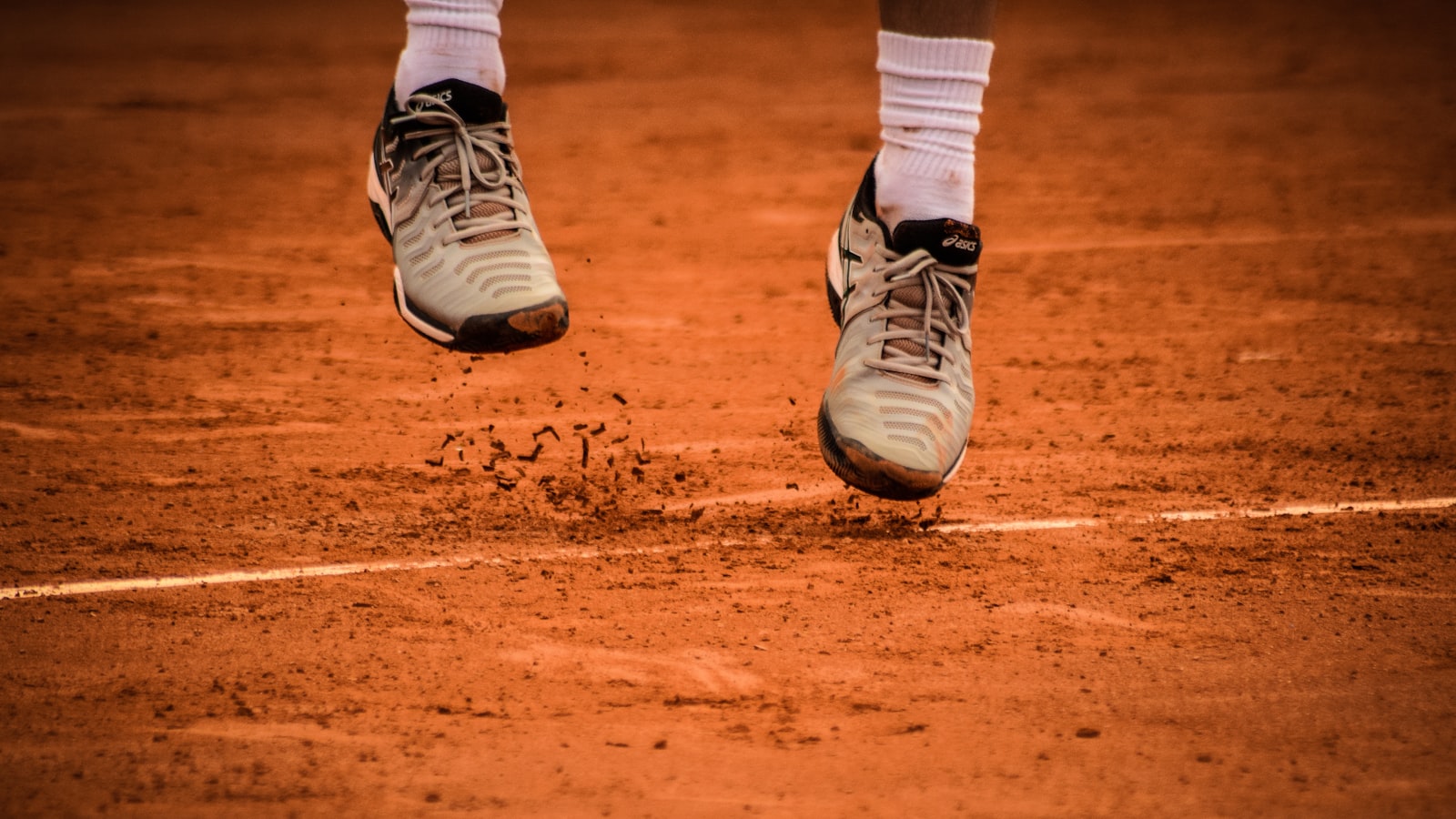 Essential Tips for Maintaining Healthy Palm Trees