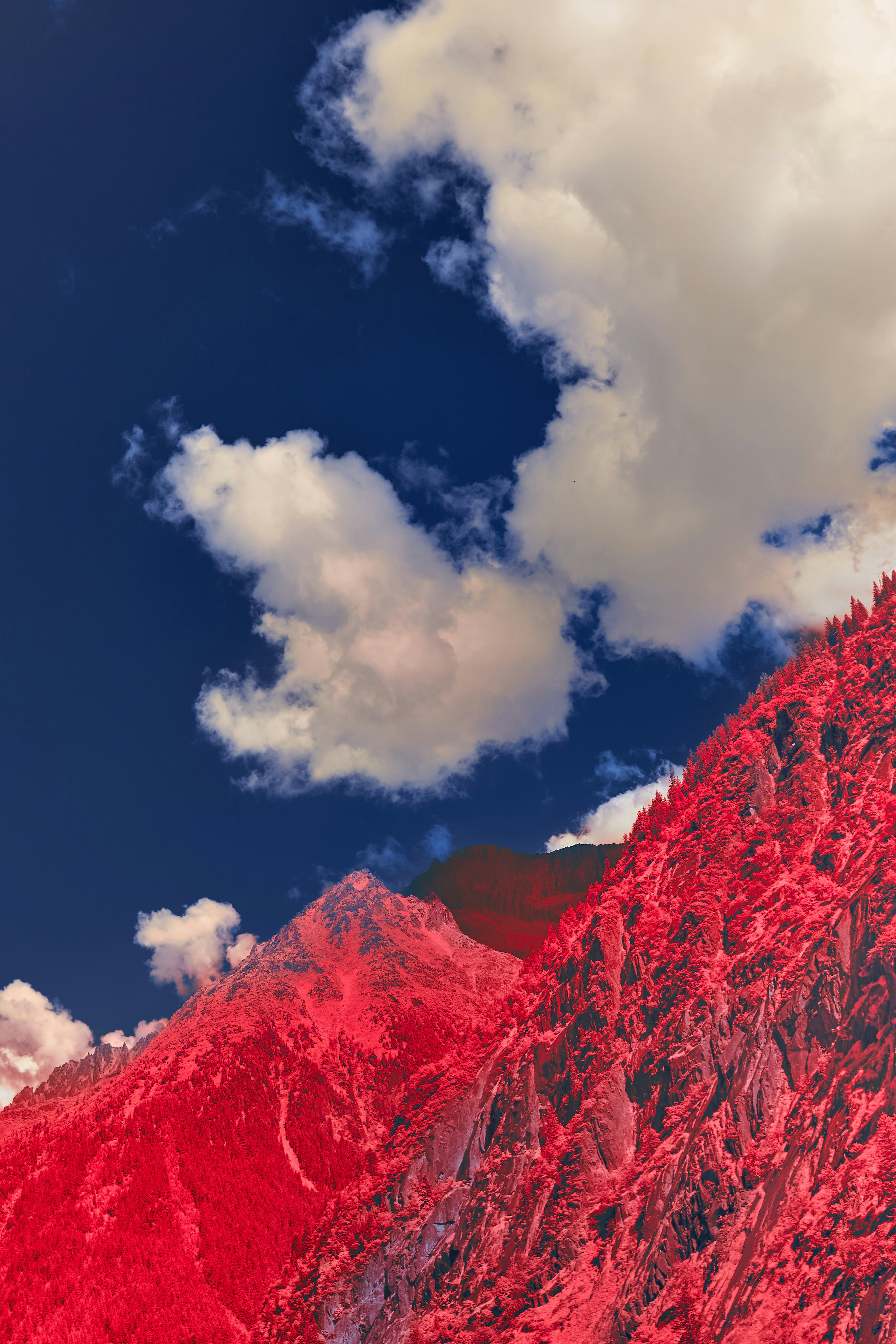 Photo by wolfgang_hasselmann