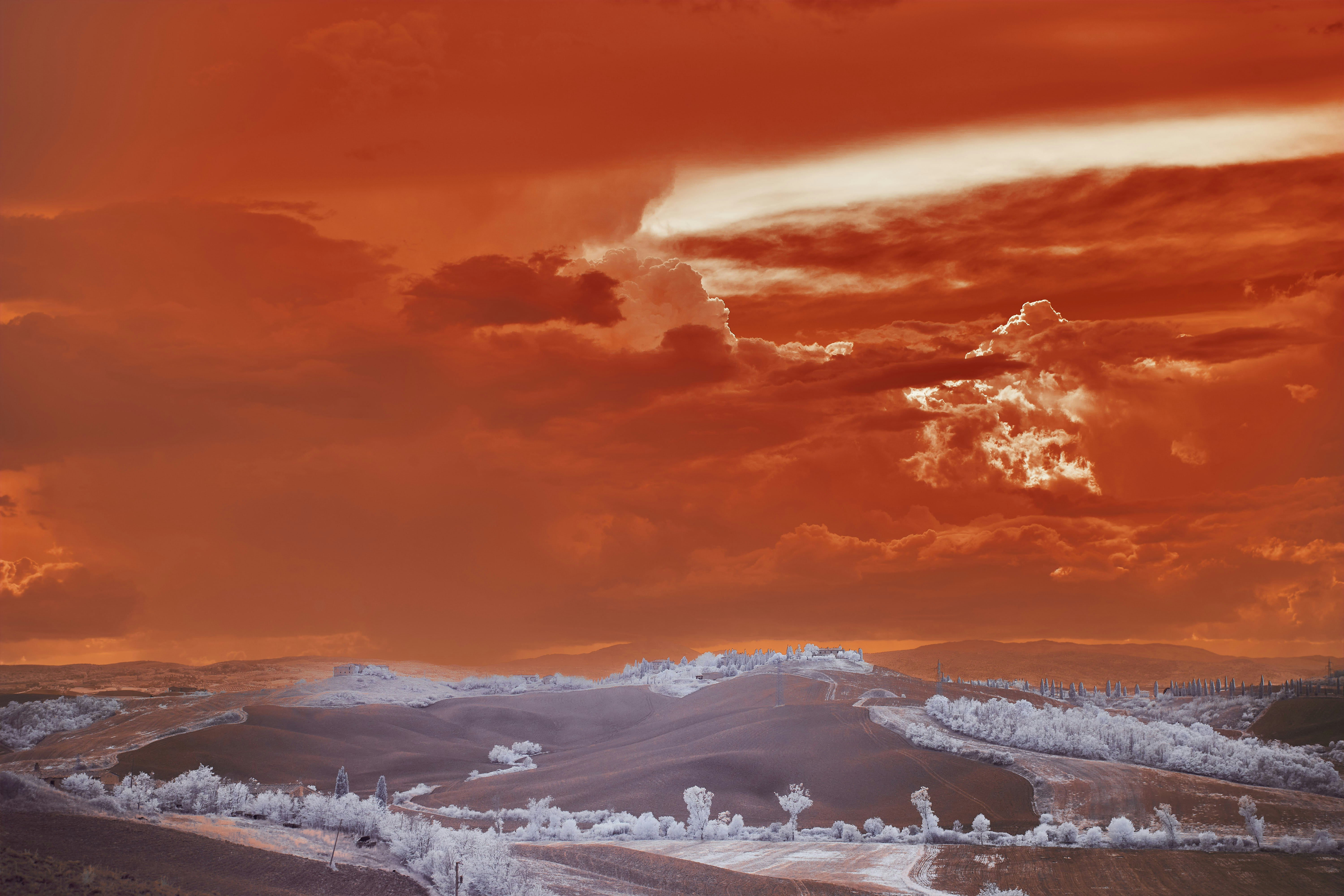 Photo by wolfgang_hasselmann