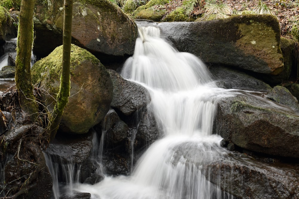 a small waterfall in the middle of a forest