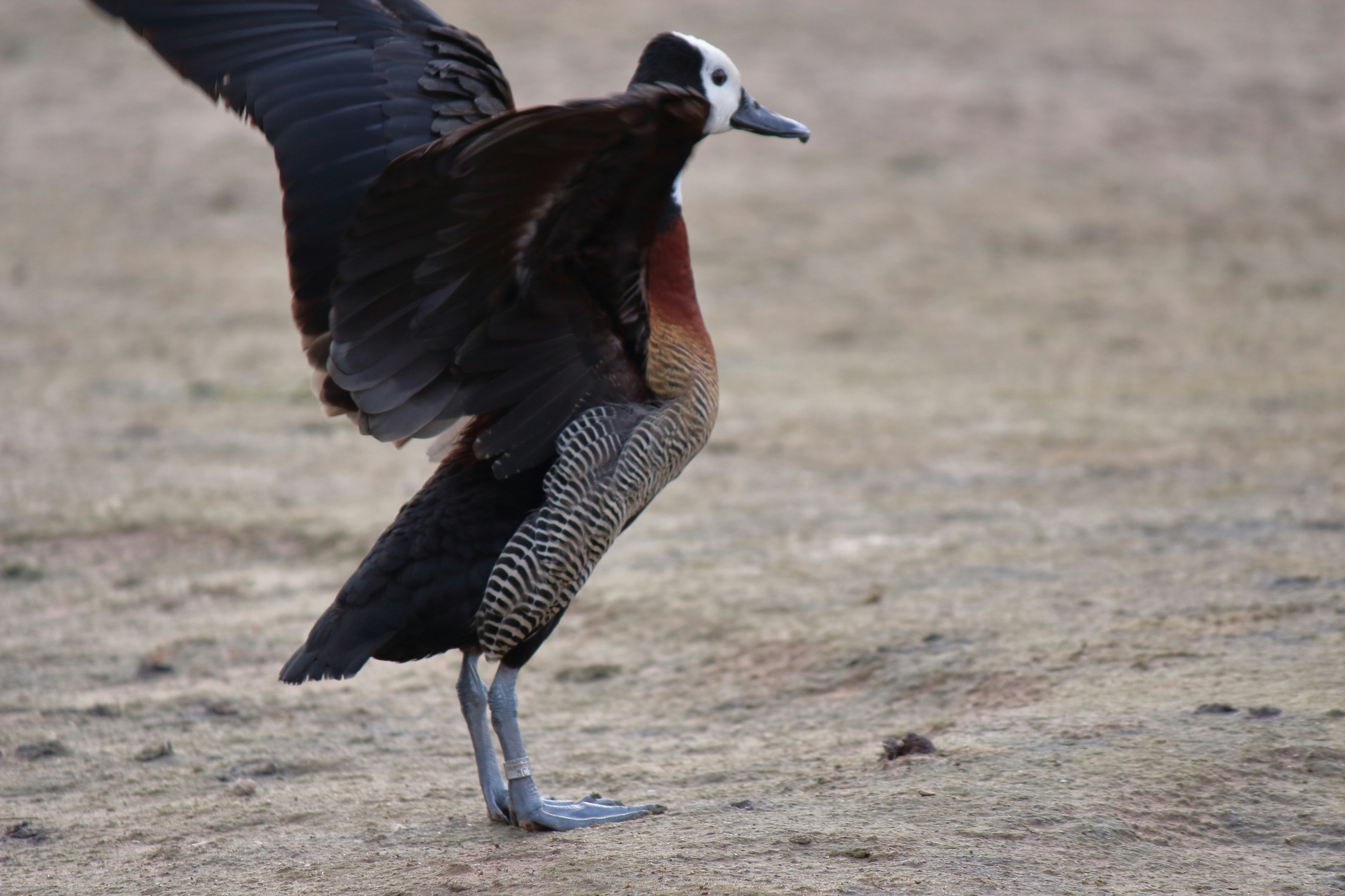 Photo by levelupfilming