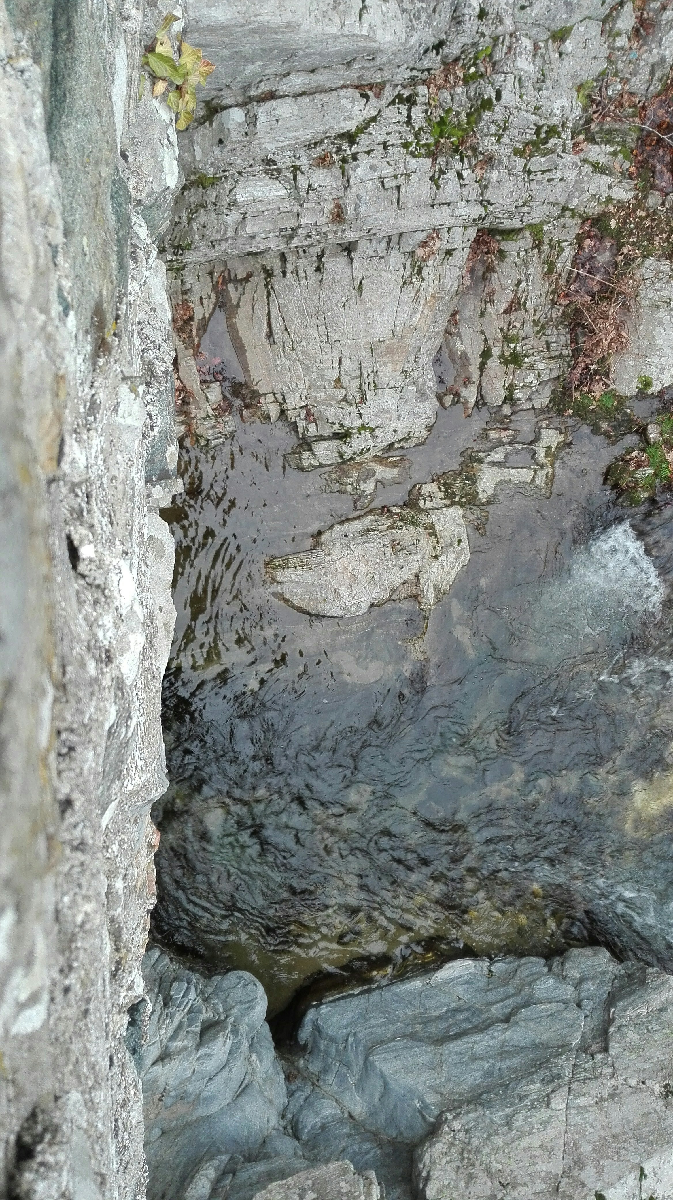 a bird is sitting on a rock near a body of water