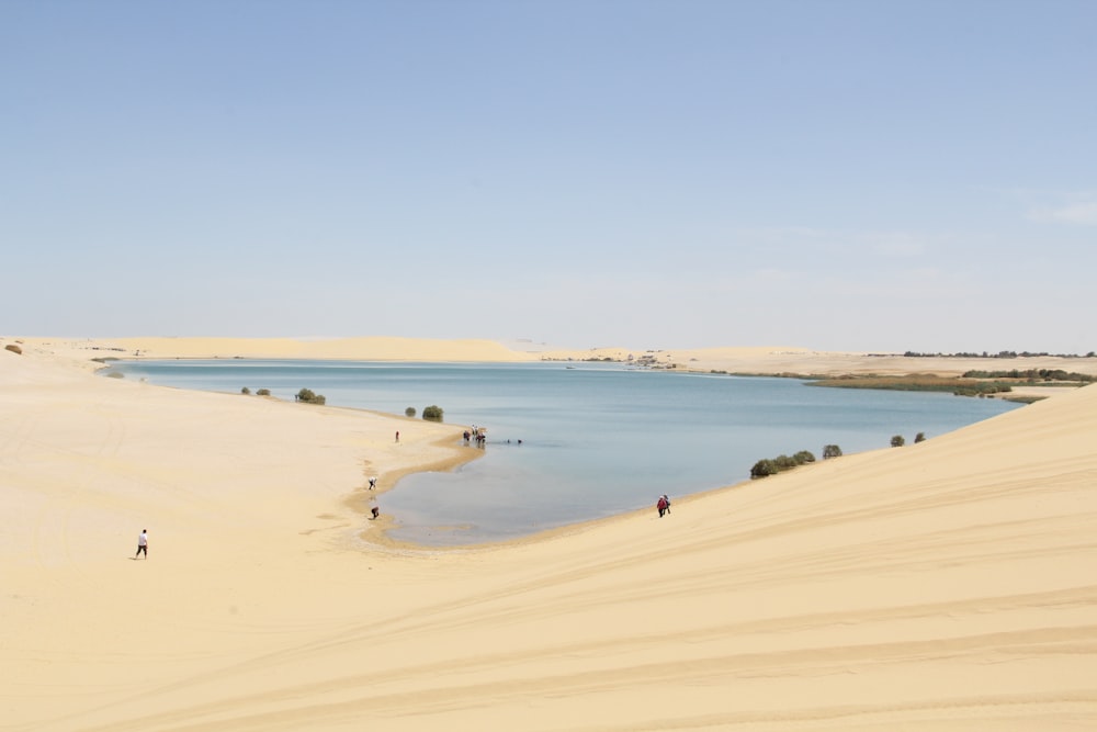 a group of people standing on top of a sandy beach