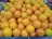 A large pile of fresh oranges is stacked together, displaying a range of bright orange hues with some hints of green on a few of the fruits. The oranges are placed in a black crate, and there are a few grapes visible in the background.