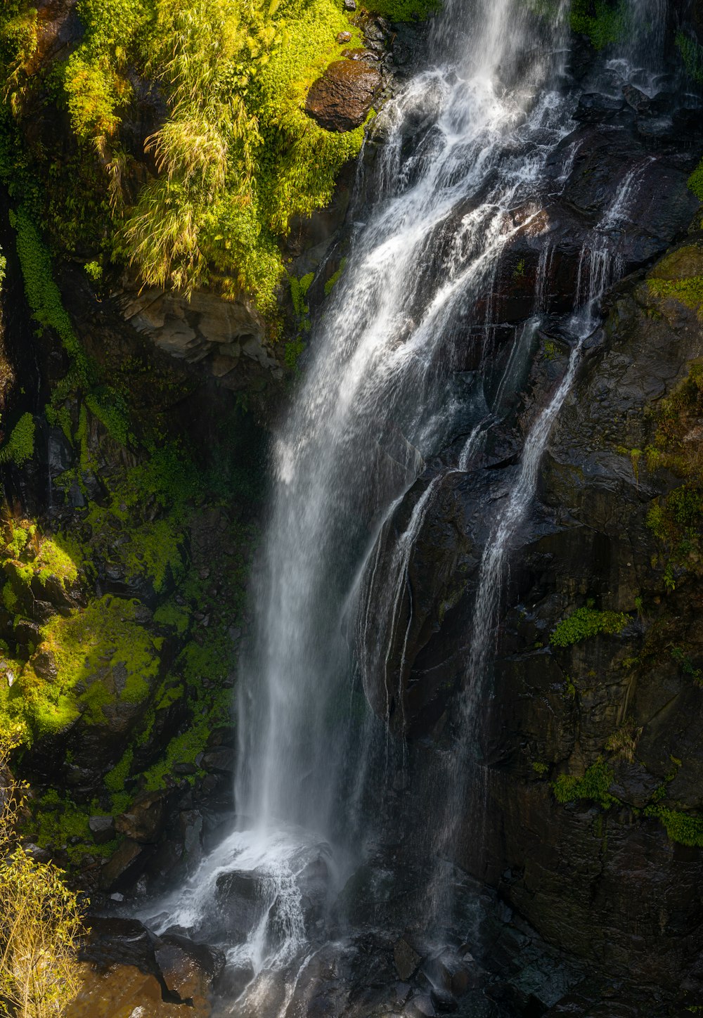 a waterfall in the middle of a lush green forest