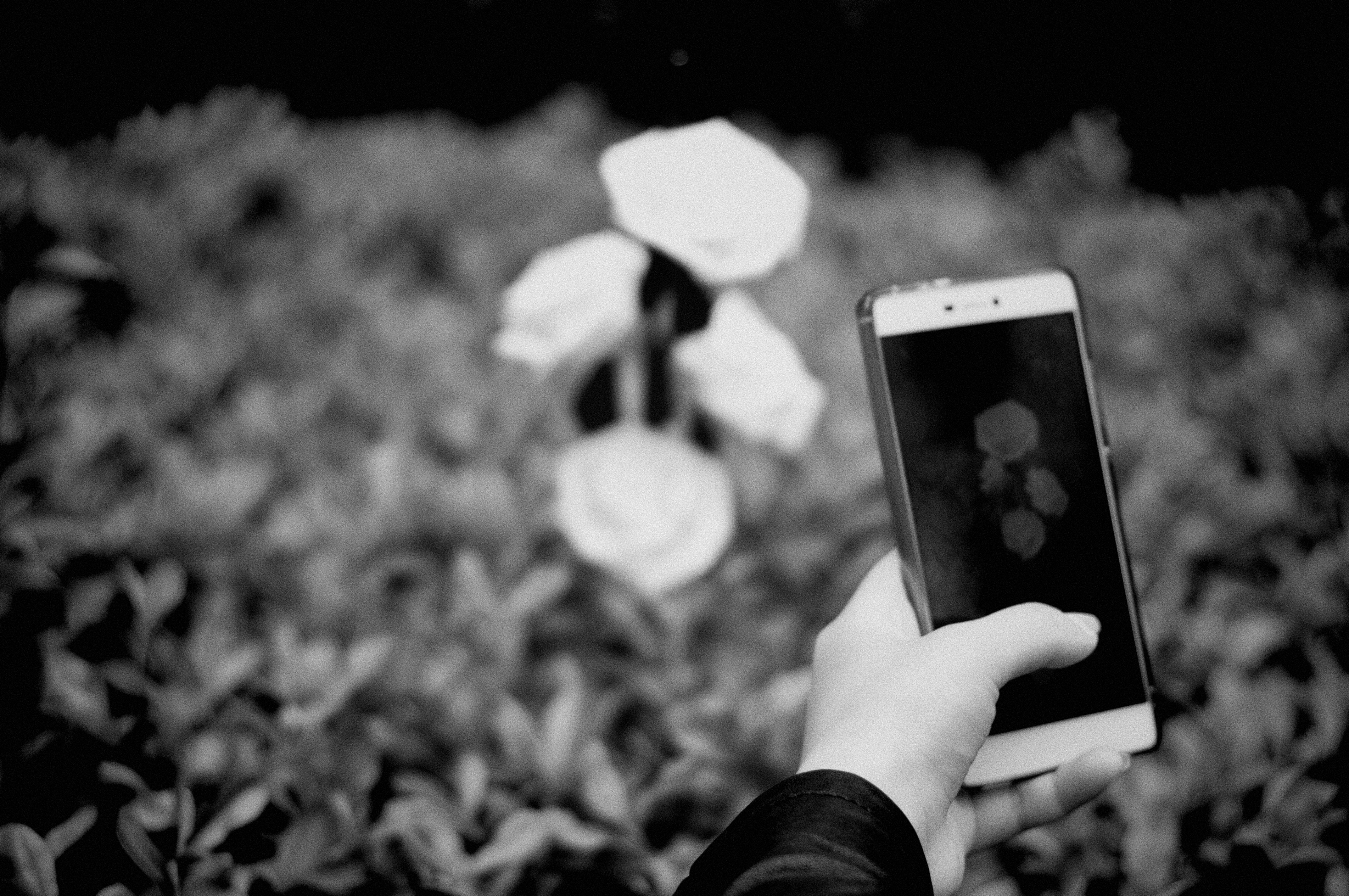 Photo by geraltyichen