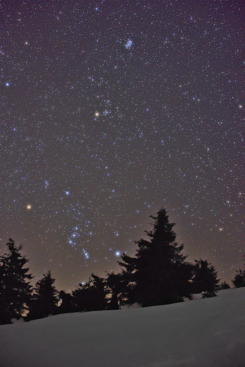 Un cielo notturno pieno di tante stelle