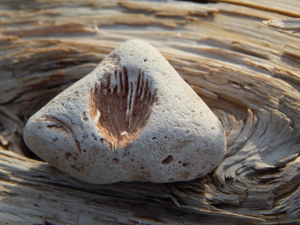 a close up of a rock in a body of water