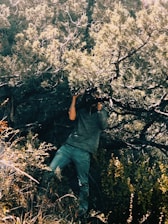 A person is partially concealed among dense, leafy branches of a tall bush or tree. Dressed in a muted gray-green outfit, they appear to be using binoculars or a camera to observe or photograph something in the distance. Sunlight filters through the foliage, casting dappled shadows and highlighting the lush greenery.