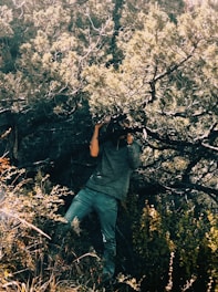 A discreet investigator observing a subject from a distance with binoculars.