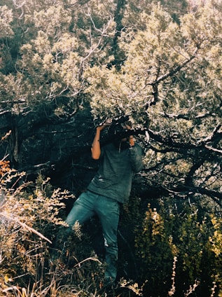 A person is partially concealed among dense, leafy branches of a tall bush or tree. Dressed in a muted gray-green outfit, they appear to be using binoculars or a camera to observe or photograph something in the distance. Sunlight filters through the foliage, casting dappled shadows and highlighting the lush greenery.