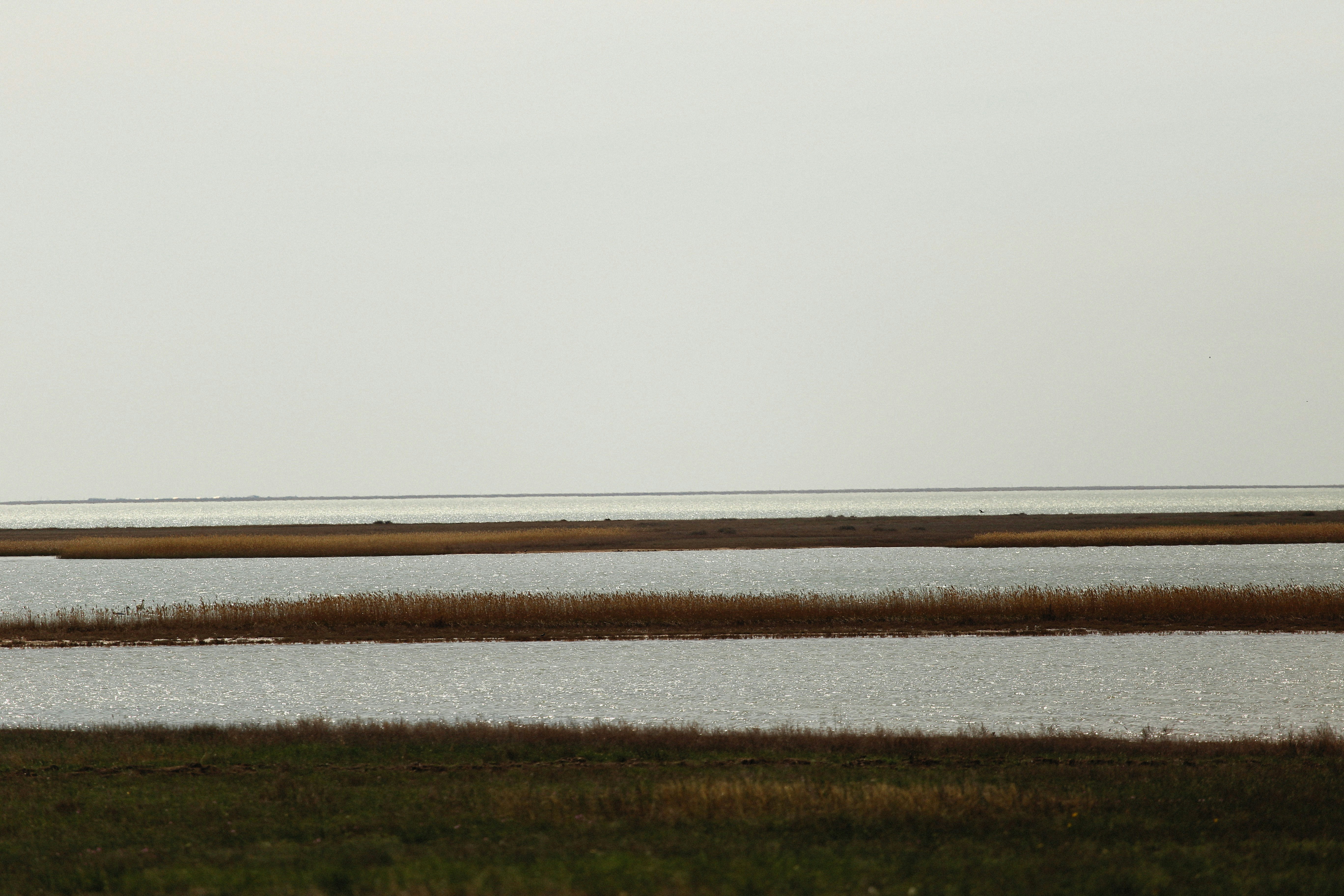 Photo by alexeydemidov