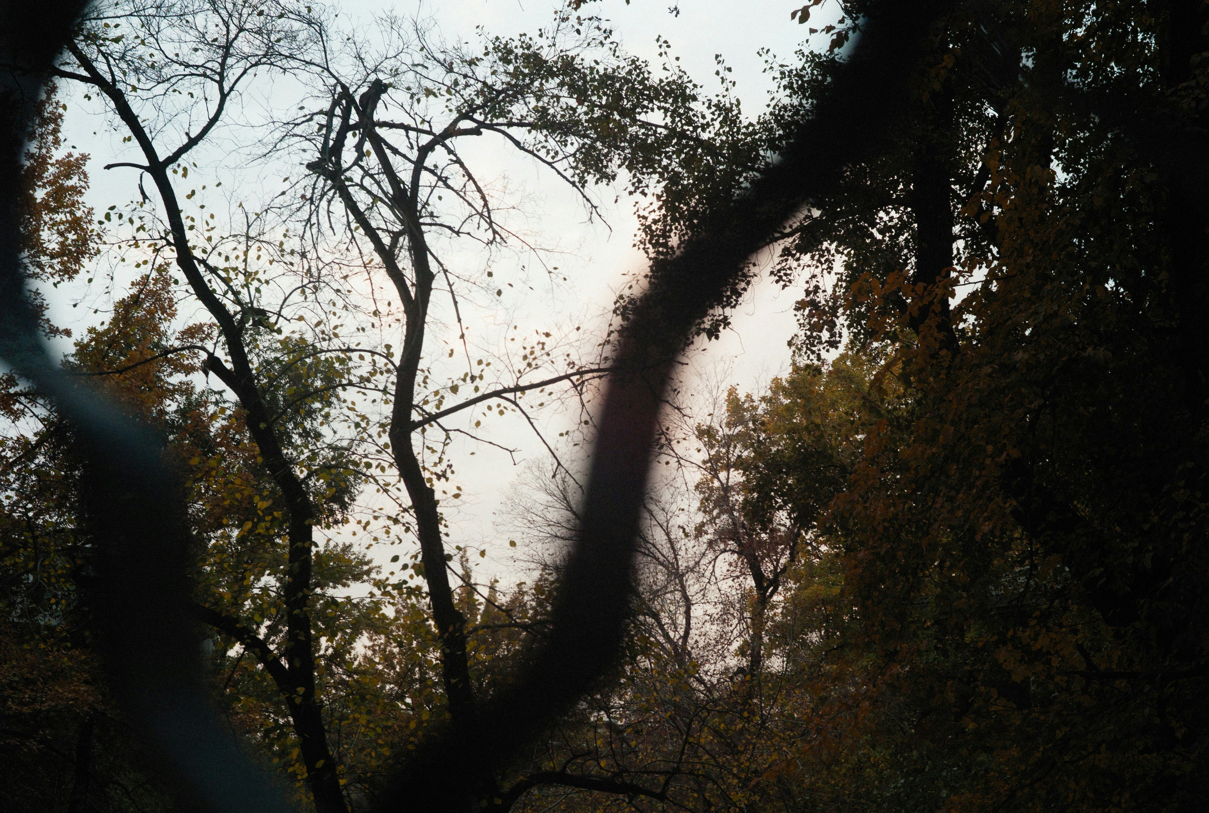 Photo by alexeydemidov
