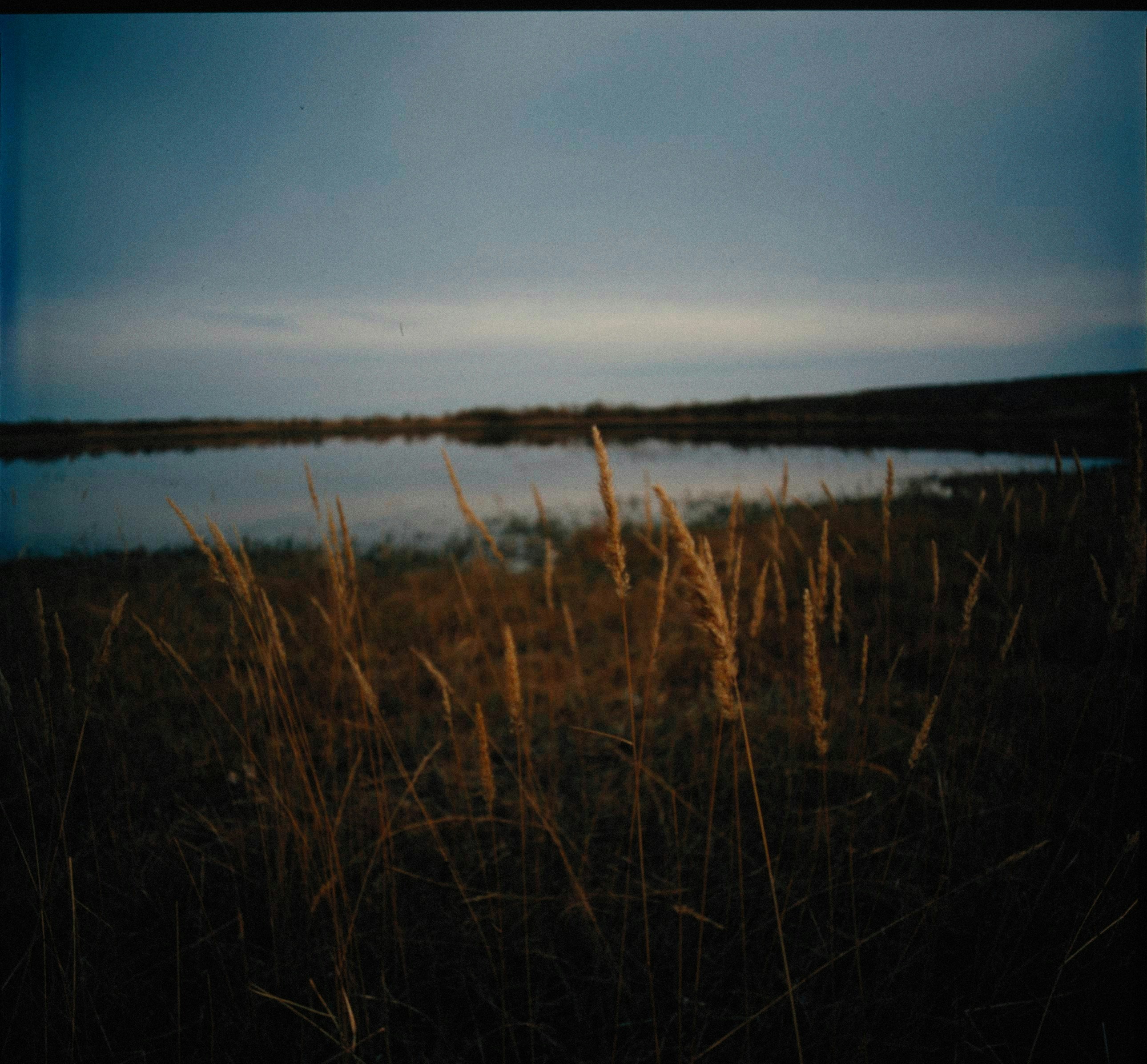 Photo by alexeydemidov