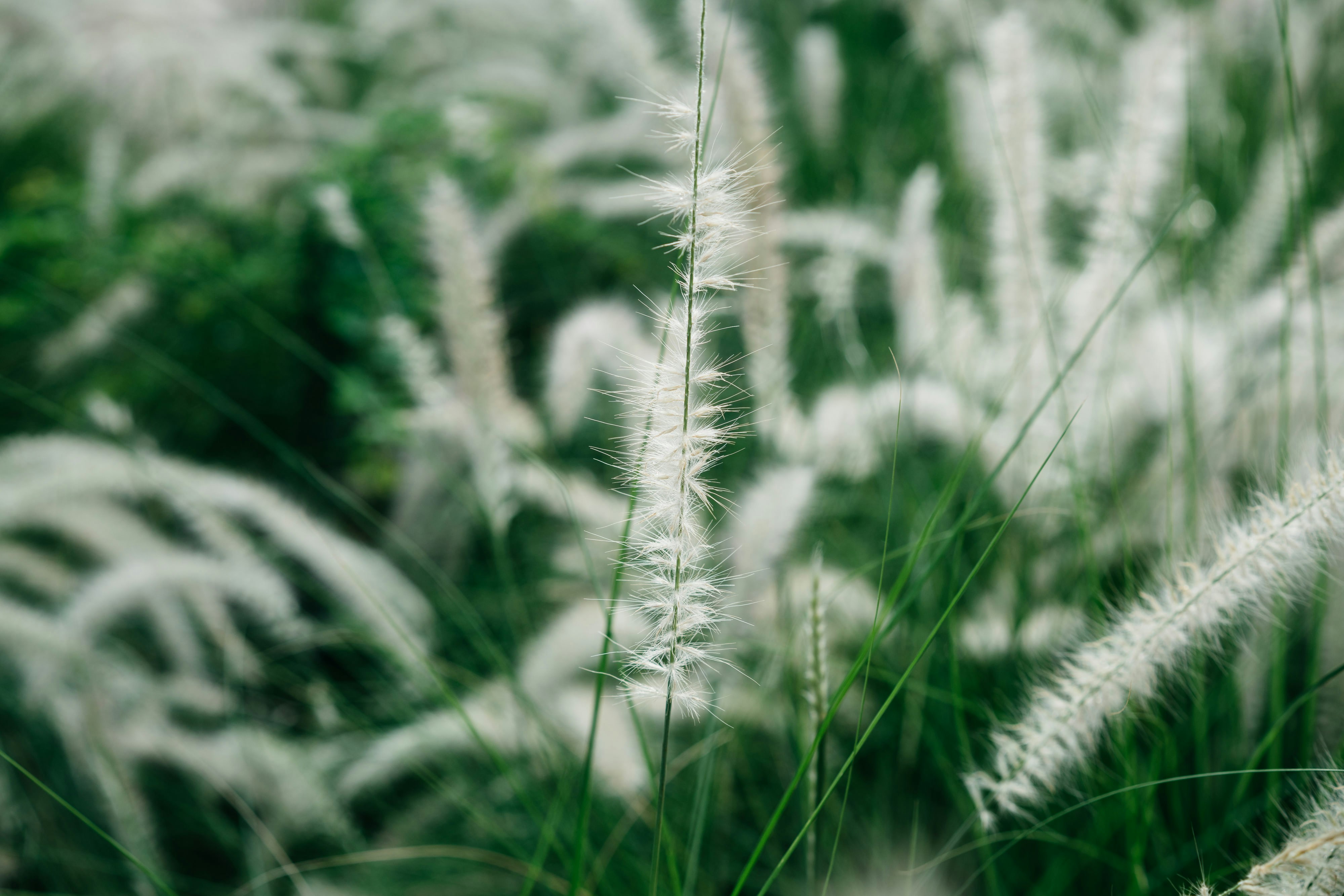 Photo by markuswinkler