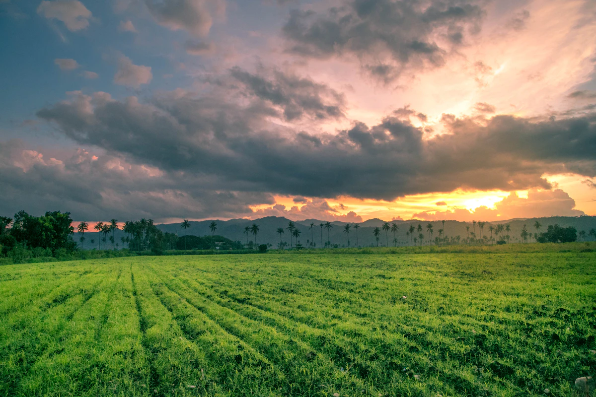 Campo verde com o céu do entardecer ao fundo