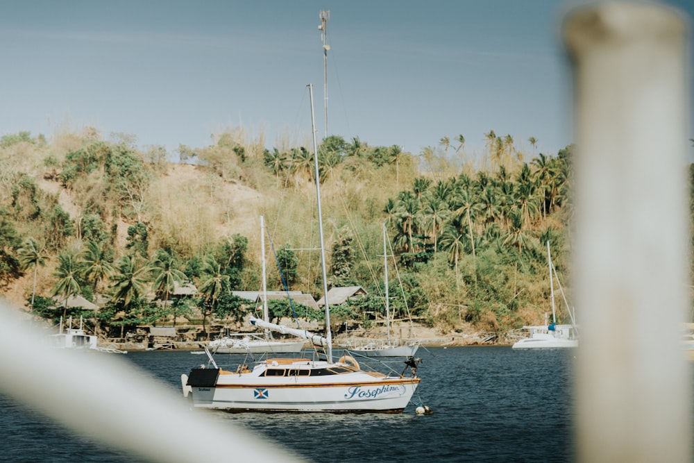 a sailboat in a body of water near a forest