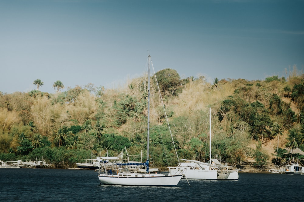 a couple of boats floating on top of a body of water