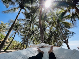 A model lounging in a hammock under palm trees, wearing a crisp white linen shirt with rolled-up sleeves.