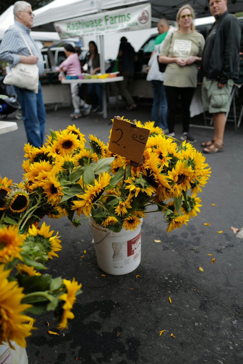 a bunch of sunflowers in a bucket on the ground