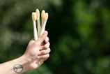 A hand holds three bamboo toothbrushes with light bristles against a blurred green natural background. A tattoo resembling a peace symbol is visible on the wrist.