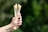 A hand holds three bamboo toothbrushes with light bristles against a blurred green natural background. A tattoo resembling a peace symbol is visible on the wrist.