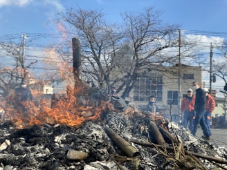 A fire is burning a pile of debris or logs outdoors. The scene is set in an urban area with bare trees and a building in the background. Several people dressed in jackets and hats are standing nearby, observing the fire.