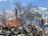 A fire is burning a pile of debris or logs outdoors. The scene is set in an urban area with bare trees and a building in the background. Several people dressed in jackets and hats are standing nearby, observing the fire.